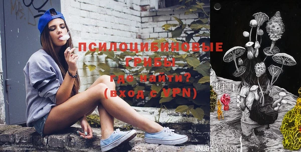 марки lsd Богородицк