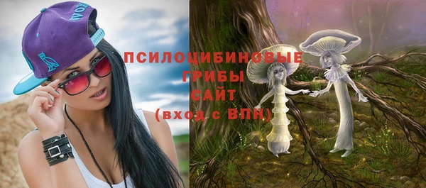 марки lsd Богородицк