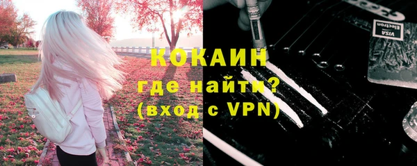 бошки Богданович