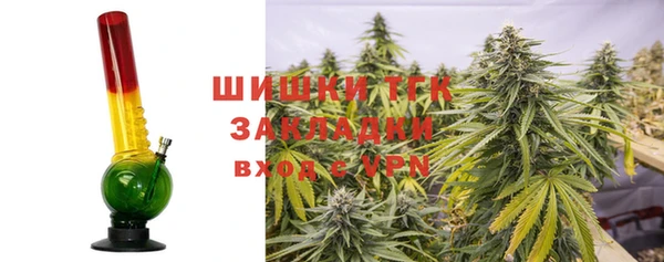бошки Богданович